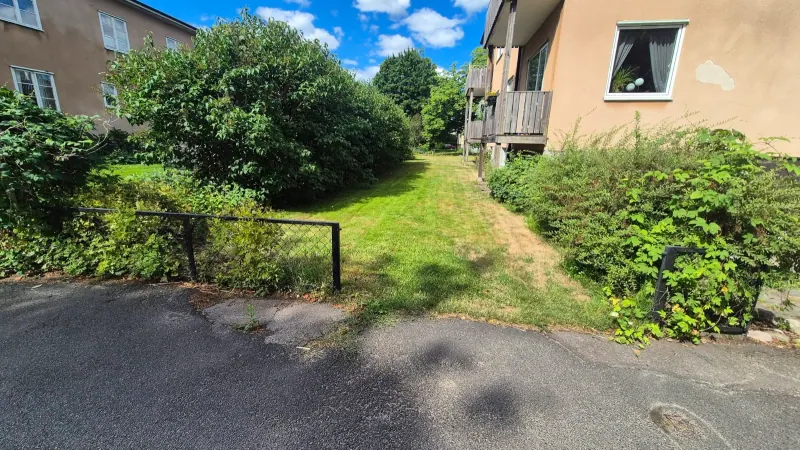 Gångväg med buskage och gräsyta